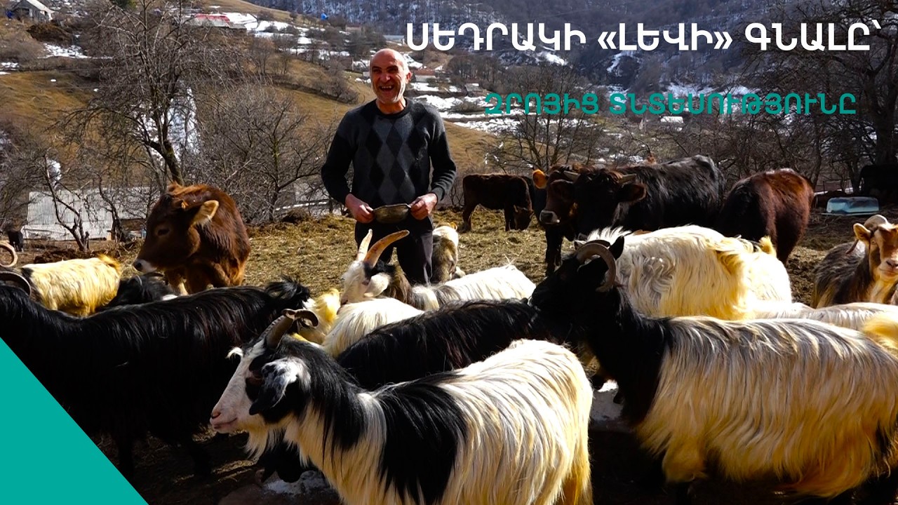 Ասի մի կնգա ումուդին եմ,զապաս կնգա եմ ման գալիս. շուլուխչի Սեդրակը