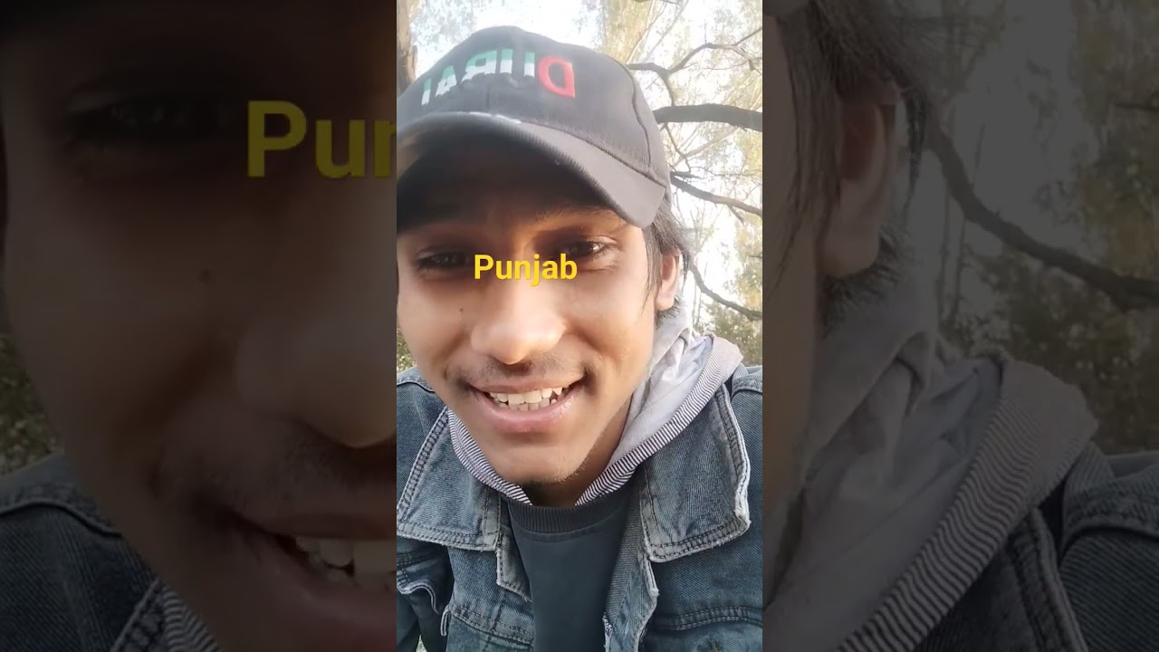 punjab #nepali #viral #shrot #arjunsapkota #neplai #gulmelikanxa