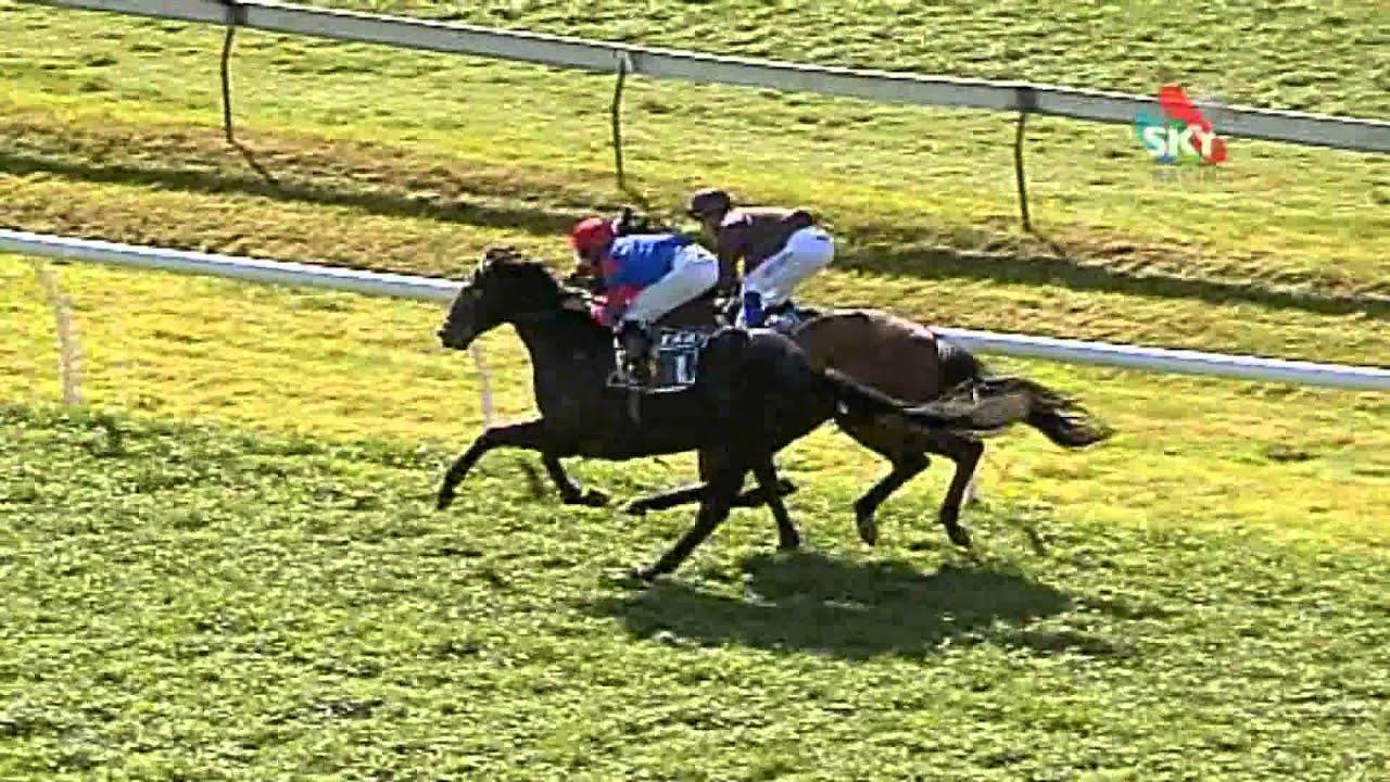 Sky Racing's 'Bred To Win' Pierro
