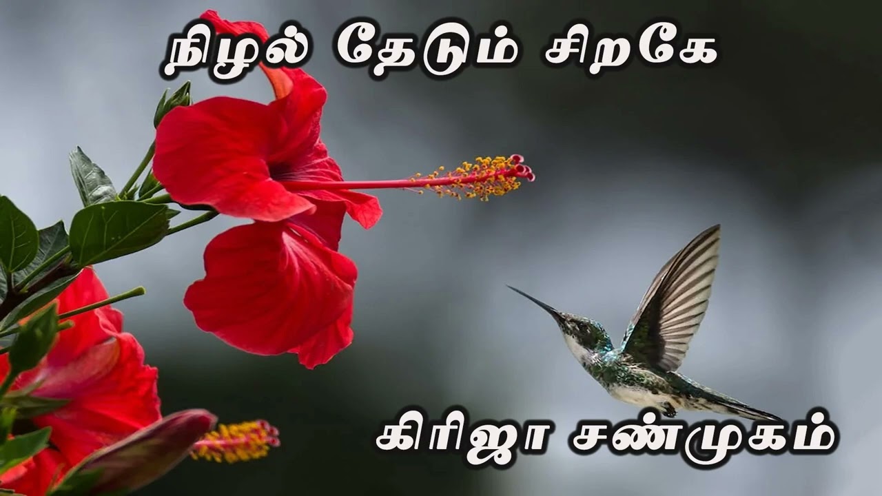Nizhal Thedum Siragae by Girija Shanmugam | Full Audio Novel | Mallika Manivannan Publications
