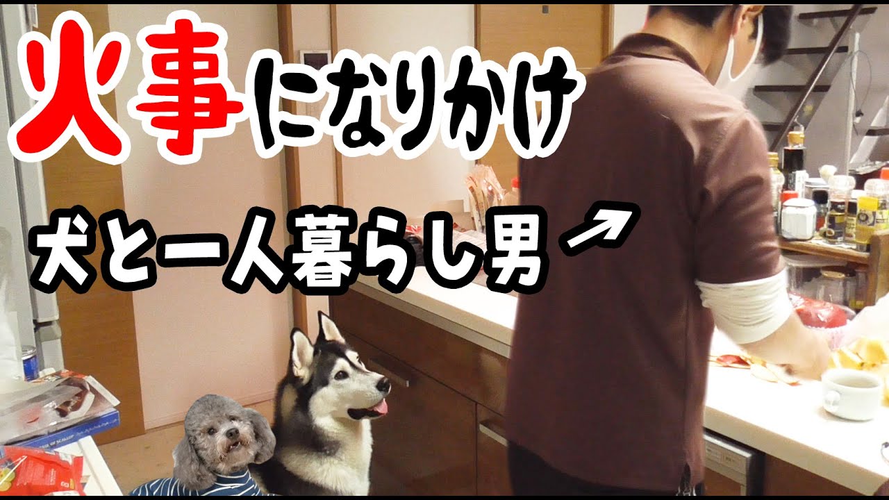 料理してたら火事に!? 愛犬と作るアップルバイが悲しい事に？　ハスキー犬と保護犬トイプード　レシピあり