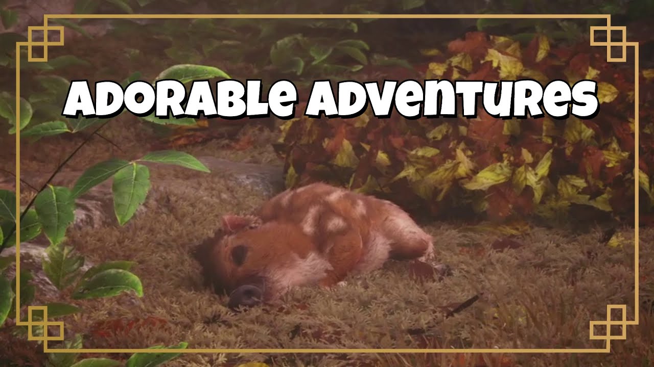 Boris das kleine Schwildschein