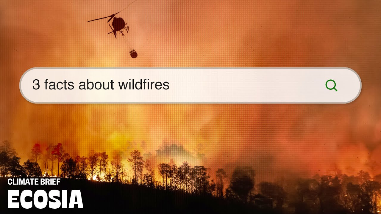 How wildfires start and how to prevent them