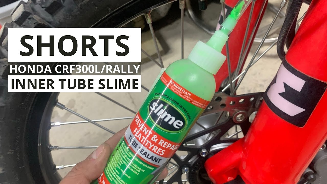 Shorts: Inner Tube Slime