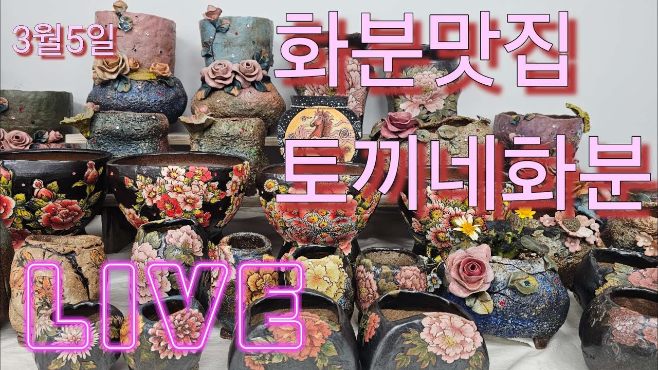 3월5일토끼네화분 실방합니다