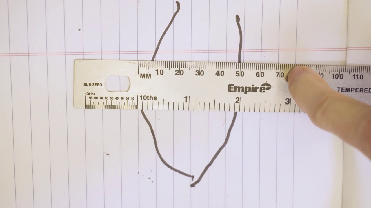 How to measure a dogs paw