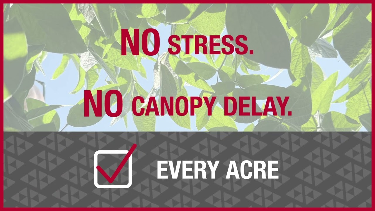 Soybeans Surging: Tendovo Herbicide (Any Soil, Every Acre)