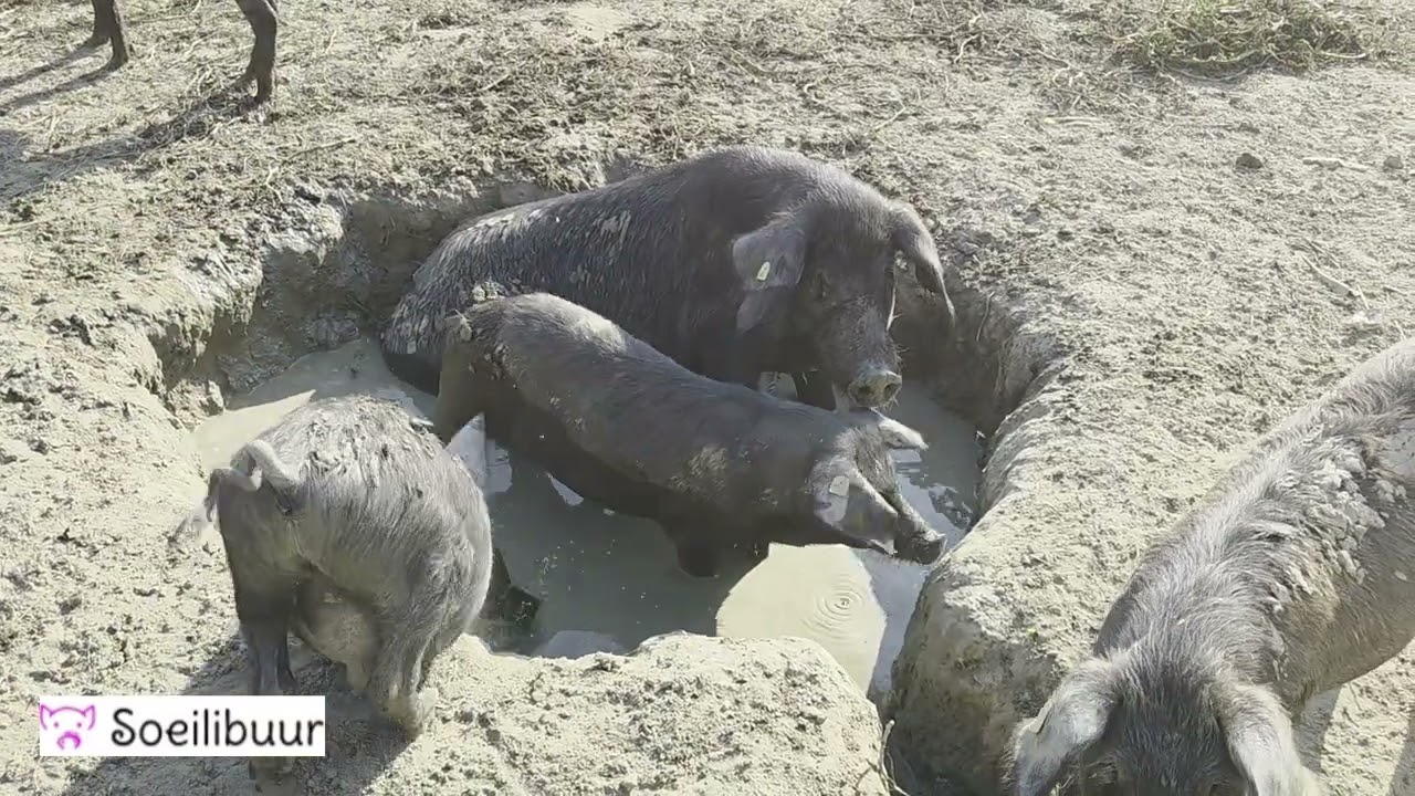 Badezeit für alle Teil 1