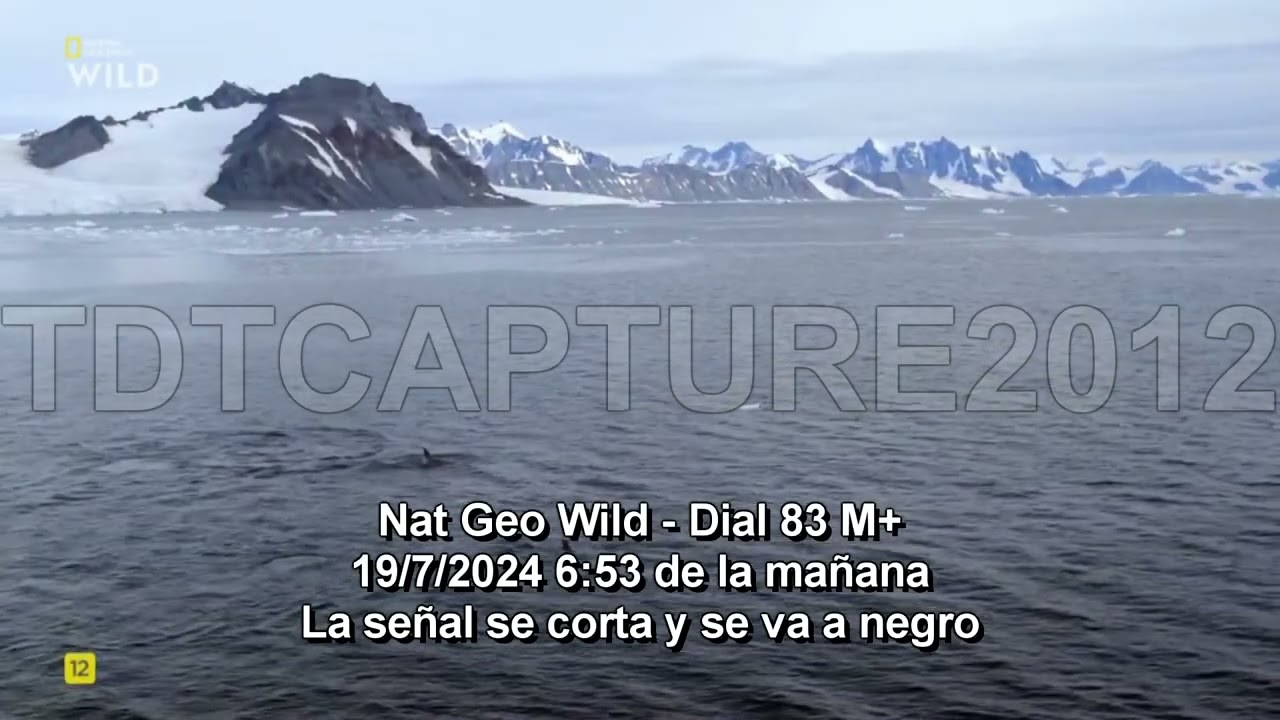 Fallos Tecnicos en Canales Disney y National Geo por CrowdStrike 19/7/2024