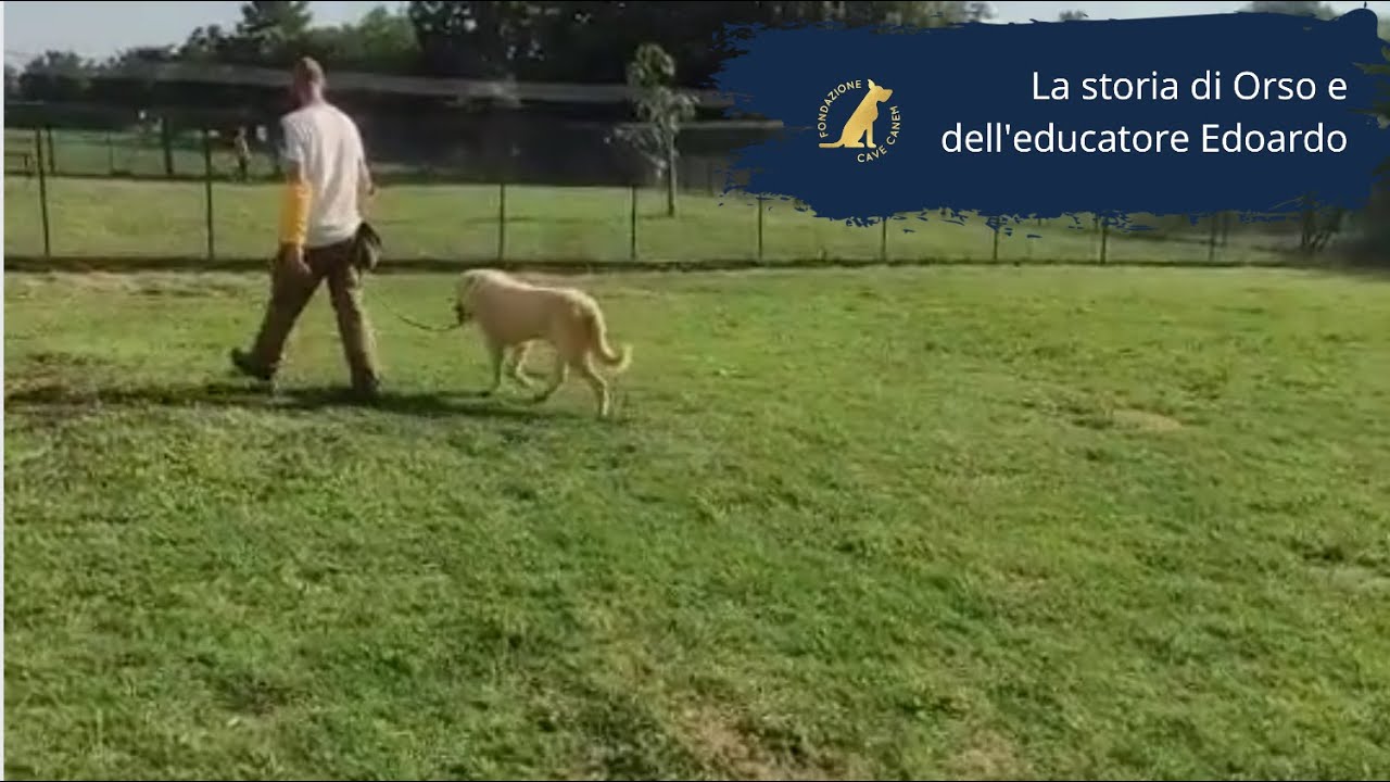 La storia di Orso e dell'educatore Edoardo