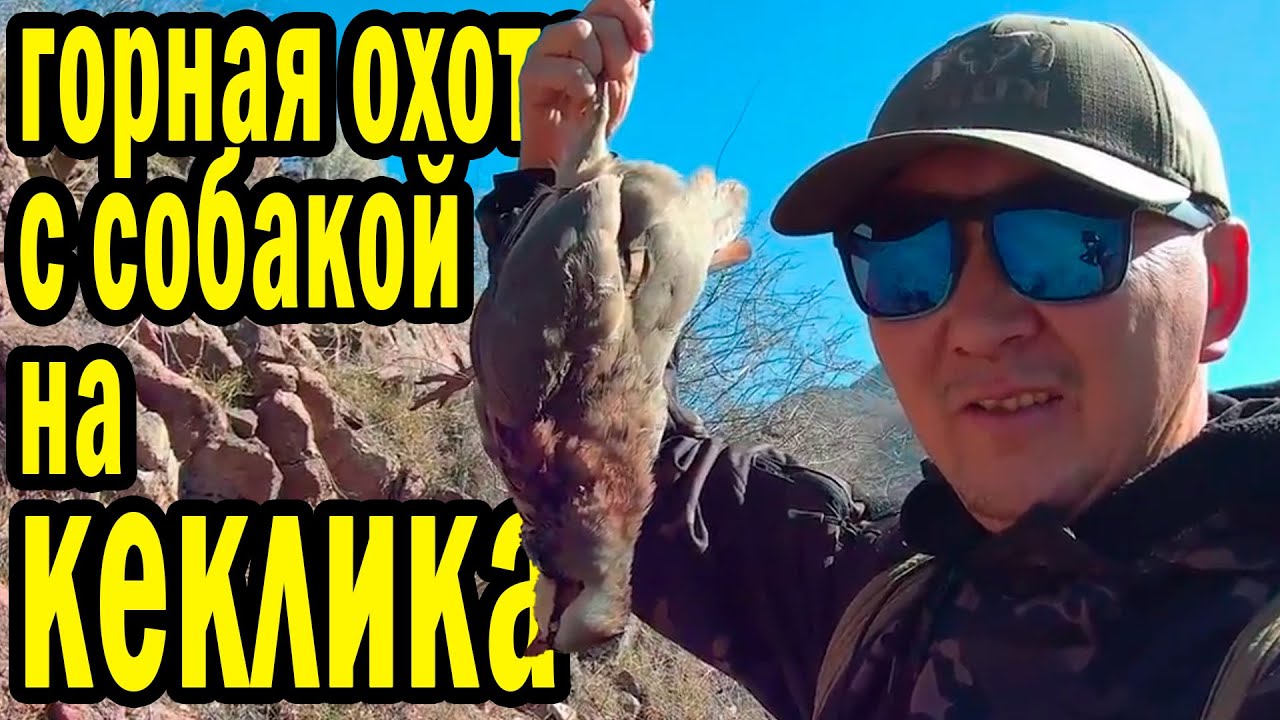 ОХОТА С МАЛЫШОМ НА КЕКЛИКА В ГОРАХ КАСТЕК #hunting #охота #казахстан
