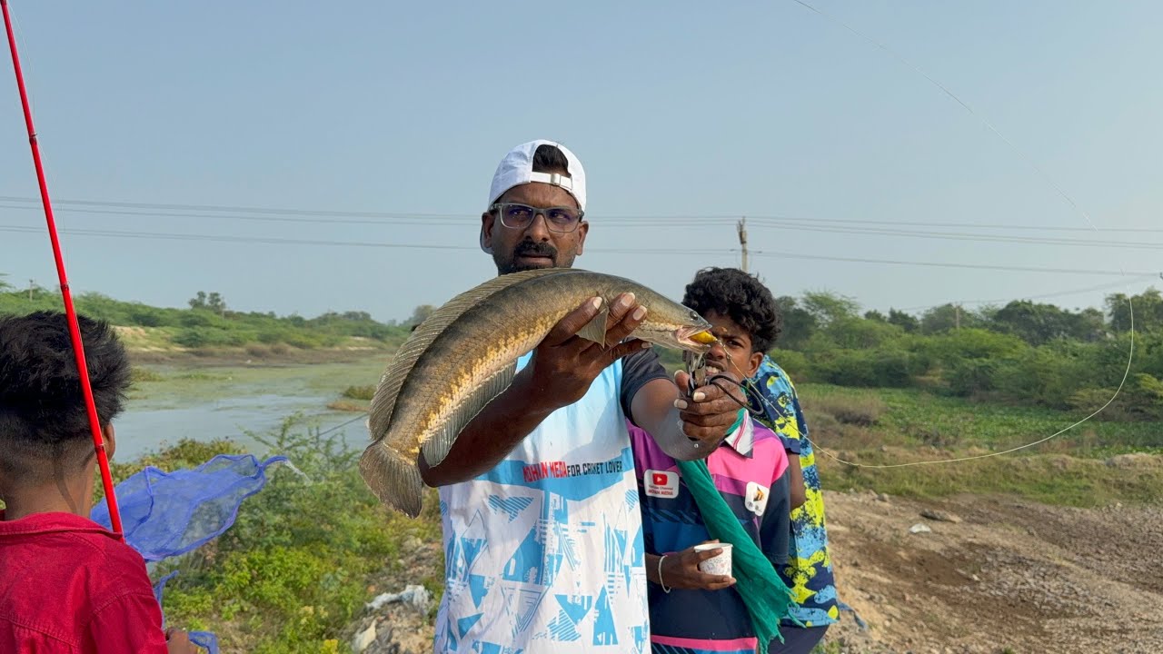 Fishing | Fishy Vicky vlogs | Snakehead Fishing  | #fishing #trending #fish #viral #food #catfish 