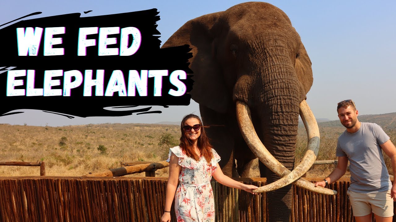 ROMANTIC BUSH GETAWAY l Indlulamithi Lodge l Kuleni Game Park l Safari l South African Youtubers
