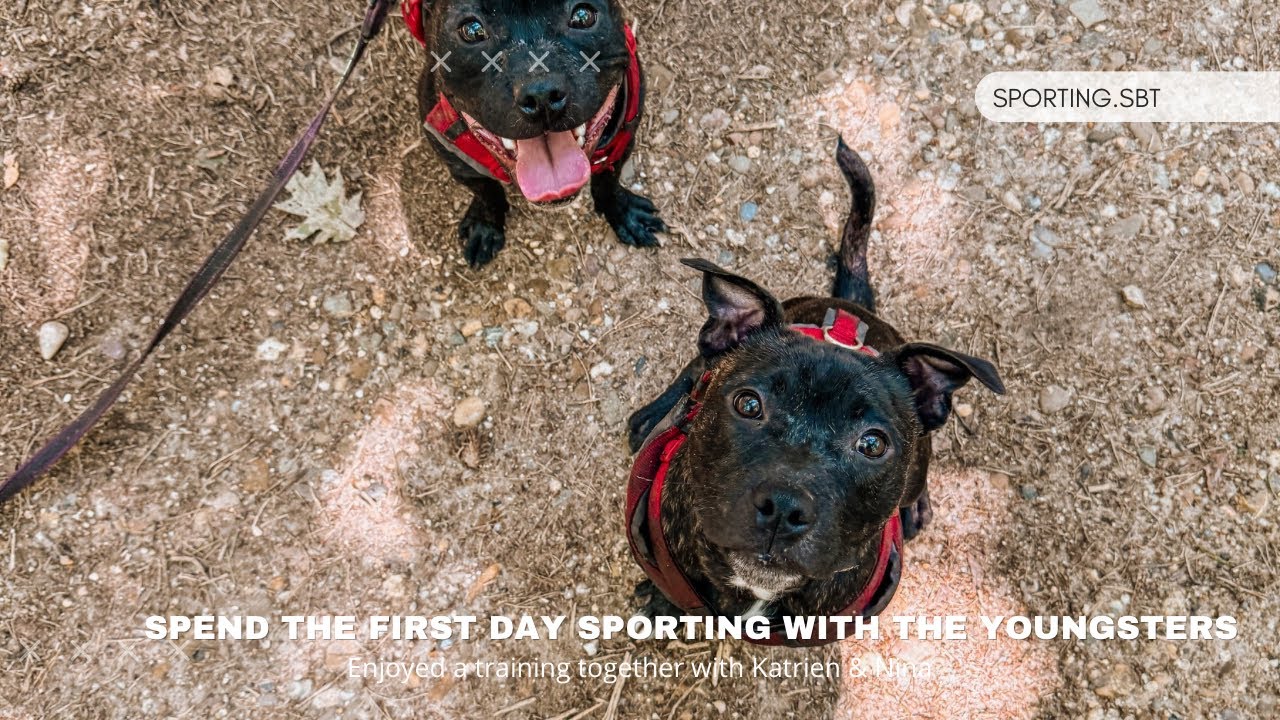 Spend the first day sporting with the youngsters.