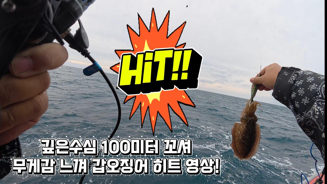 제주갑오징어낚시 100m 심해에서 꼬셔 잡은 대물 갑오징어 히트 순간! 더보기참고#갑오징어낚시 #극강루피세피아로드 #루피피싱