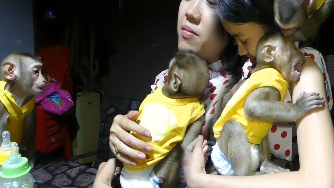 MG!! Baby Mori Jealous Dodo When Mom Protect Dodo, Dodo Hug Mom So Strong