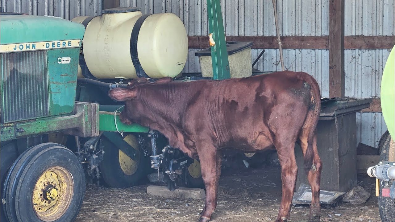 Farm equipment and barn tour 2