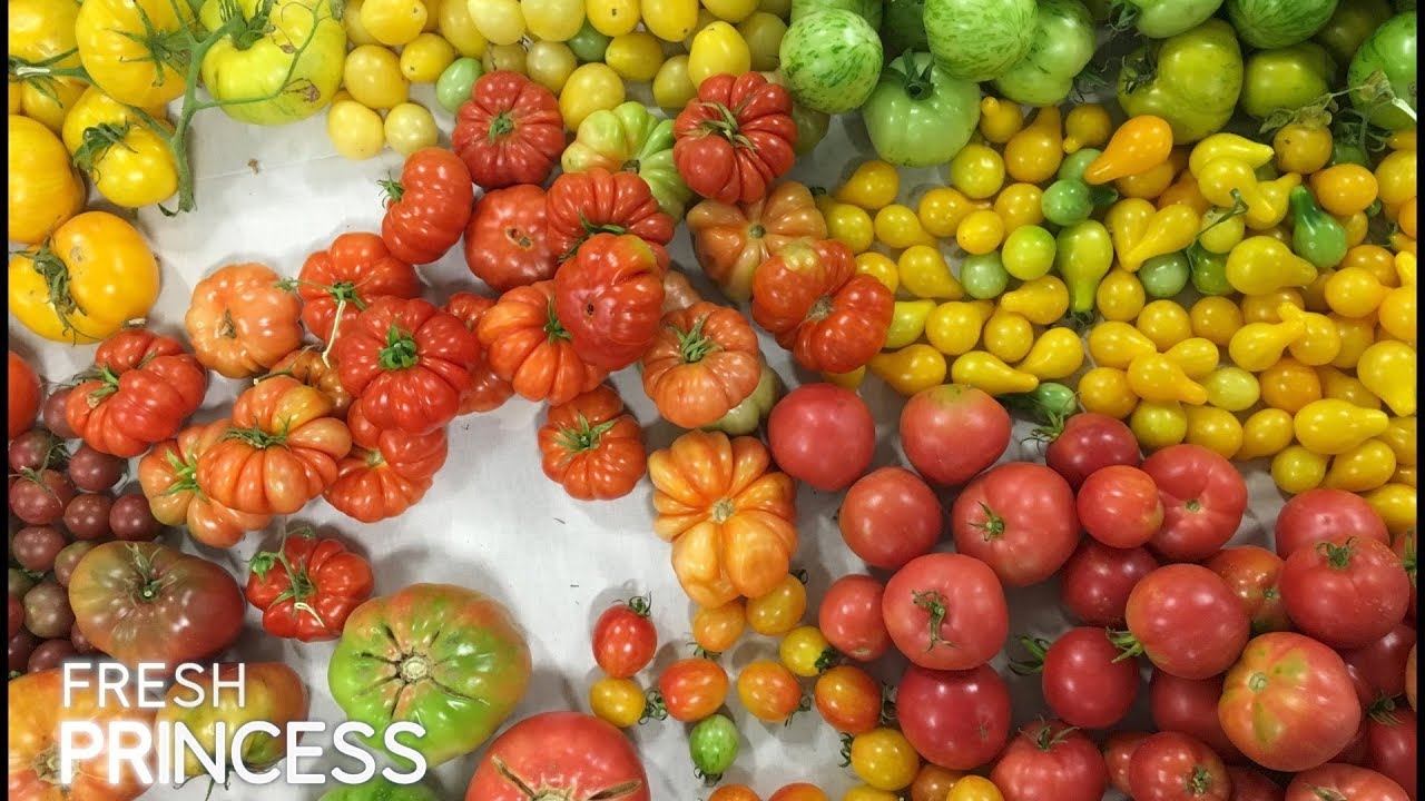 Basic Tomato Sauce: Italy's Classic al Pomodoro  |  Fresh P