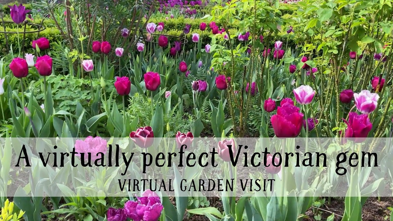 Westbrooke House: a virtually perfect Victorian gem