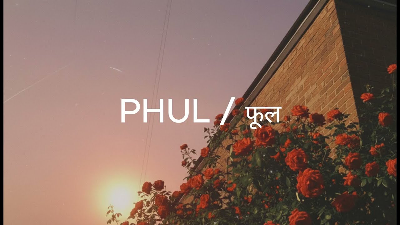 PHUL / फूल