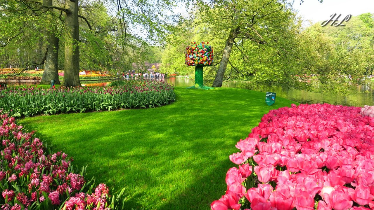 Beautiful spring garden Keukenhof 2018 - In the evening