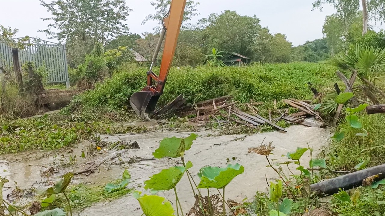 Excavator Remove Floating Plants Clogged Drain