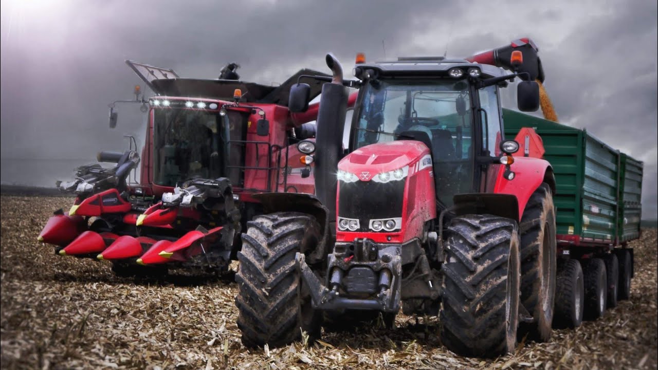 KUKURYDZA NA ZIARNO 2020㋡2X MASSEY FERGUSON㋡CASE 5130㋡Agro㋡