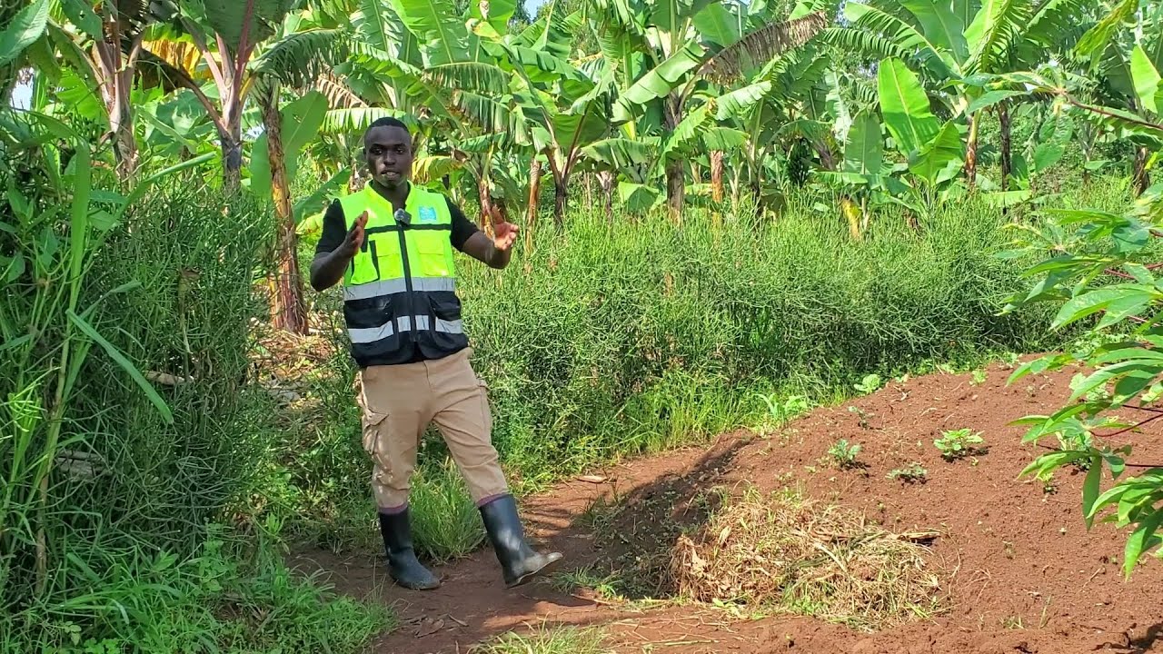 #TABARA UBU BUTAKA NTIBUGUCIKE #UBUSO 1,021SQM MILLIONS 4.3 HFI NA KABURIMBO AMAZI NUMURIRO BIRAHARI