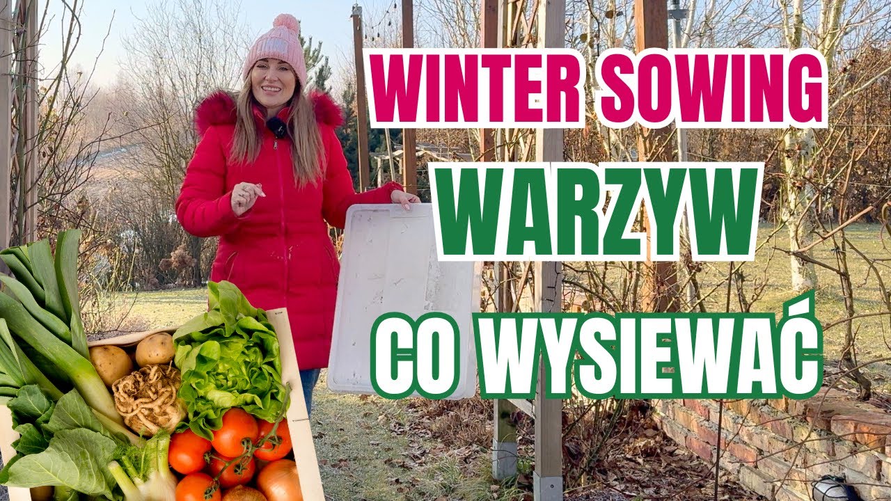 WINTER SOWING WARZYW- JAKIE WARZYWA WYSIEWAĆ METODĄ ZIMOWEGO WYSIEWU W PUDEŁKACH