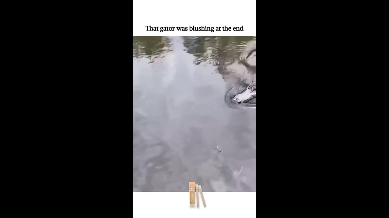 В конце этот аллигатор покраснел.