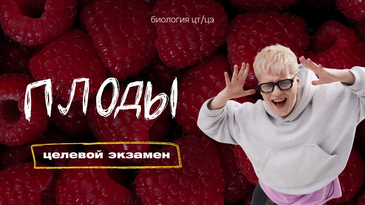 ПЛОДЫ | Целевой экзамен