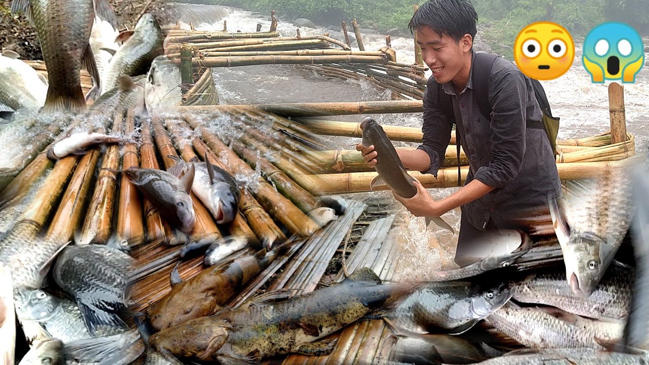 NYISHI TRIBE TRADITIONAL CULTURE FISHING STYLE OF SEPE (trap)| IN PAPUM RIVER| NORTHEAST REGION|