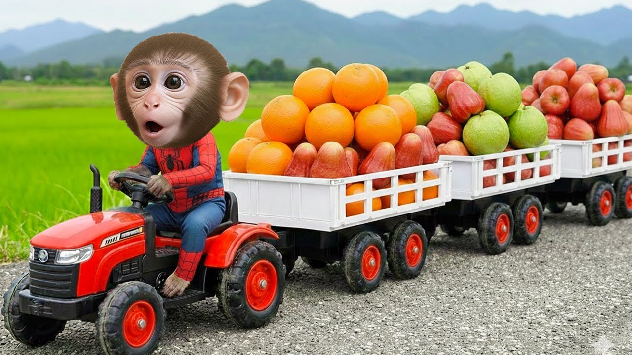 El Secreto Revelado: ¿Por Qué el Mono Bim Tiene Jugo de Frutas?