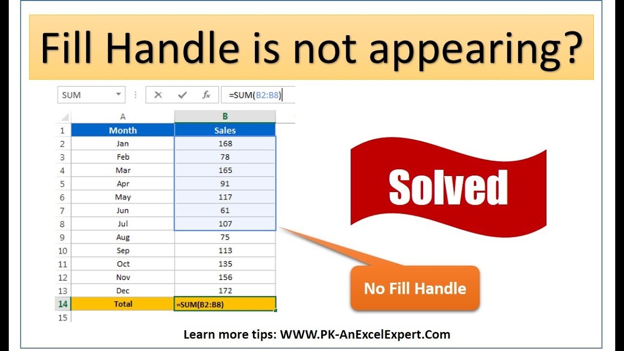 Excel Problem Solved : Fill Handle Not Appearing || Quick Solution