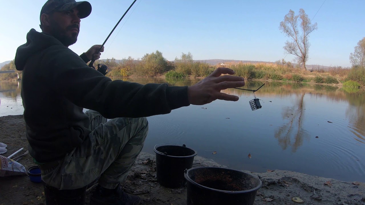 Pescuit mrena si morunas la feeder pe Somes. Sfaturi utile cum sa scapi de oblete .