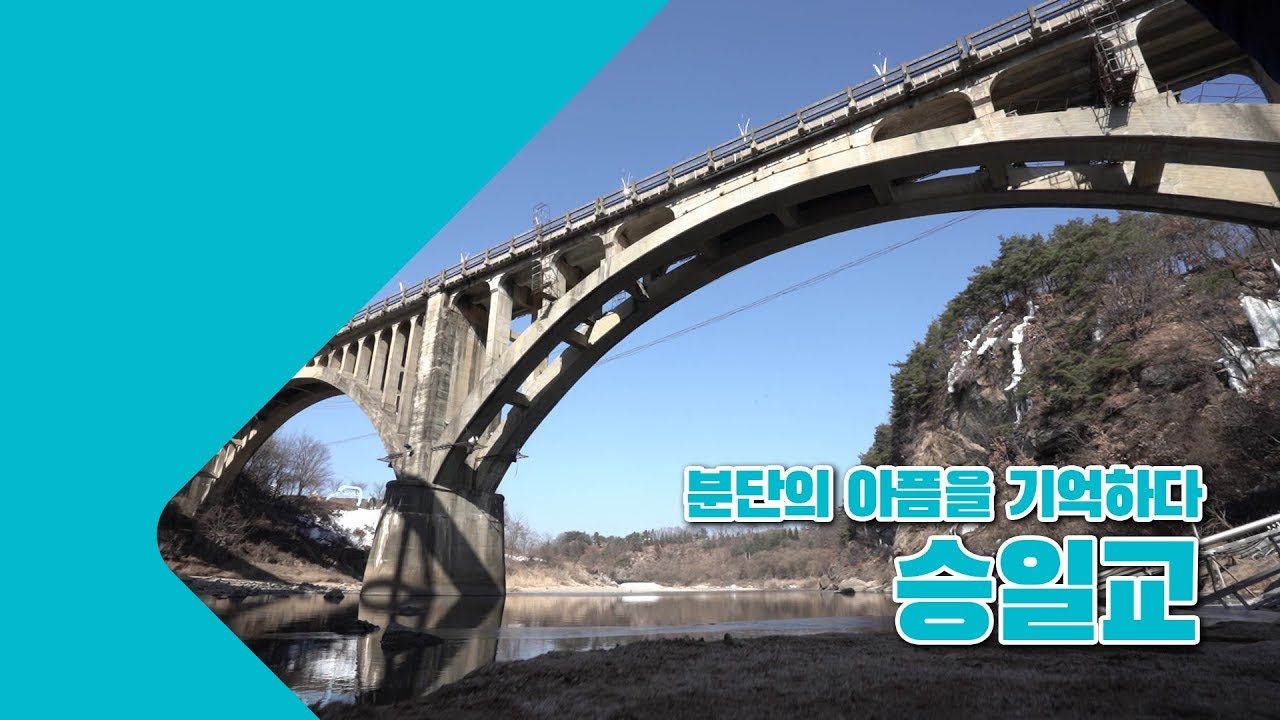 분단의 아픔을 기억하다 