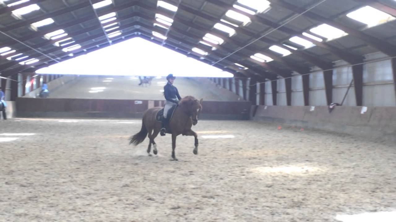 Dressage training Matthi - Josephine-Emilia