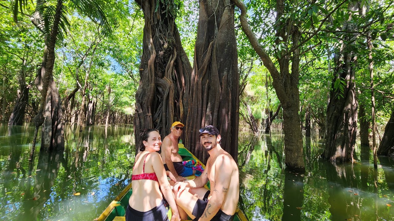 Alter do Ch&atilde;o - Par&aacute; 2025