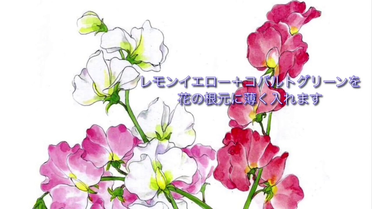 花の描き方(解説)最終版
