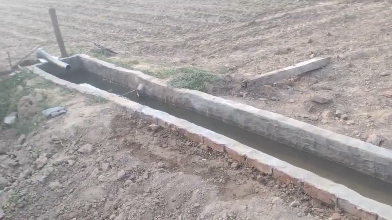 Morning visit and check pakki nali in khet 🌾🌳|| Bhuwnesh Swami || #viral #viralvideo #farmers #kheti