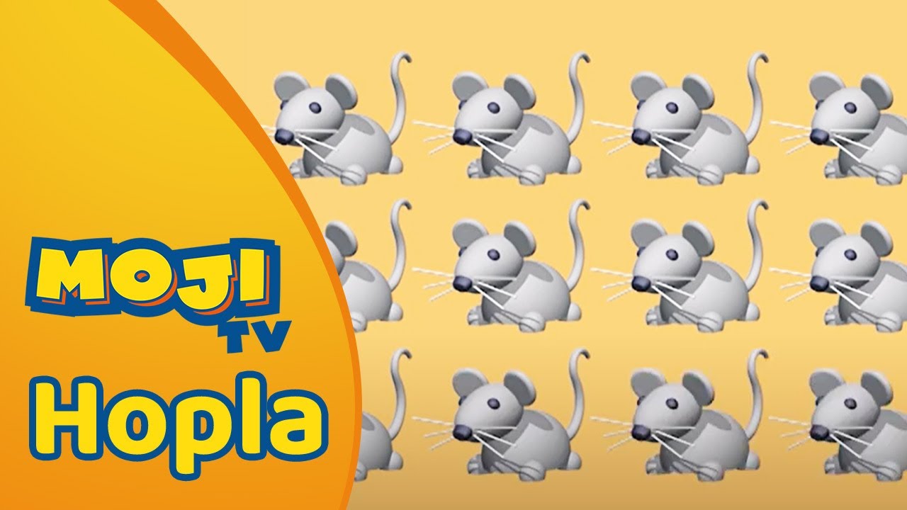ALLEMAAL MUIZEN 🐁 | HOPLA 🐇 | Nederlandse Kinderseries | MojiTV