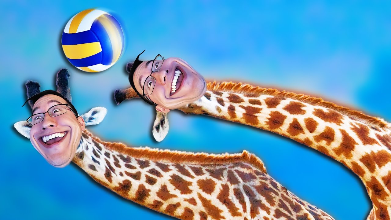 Giraffes Volleyball Championship 2016