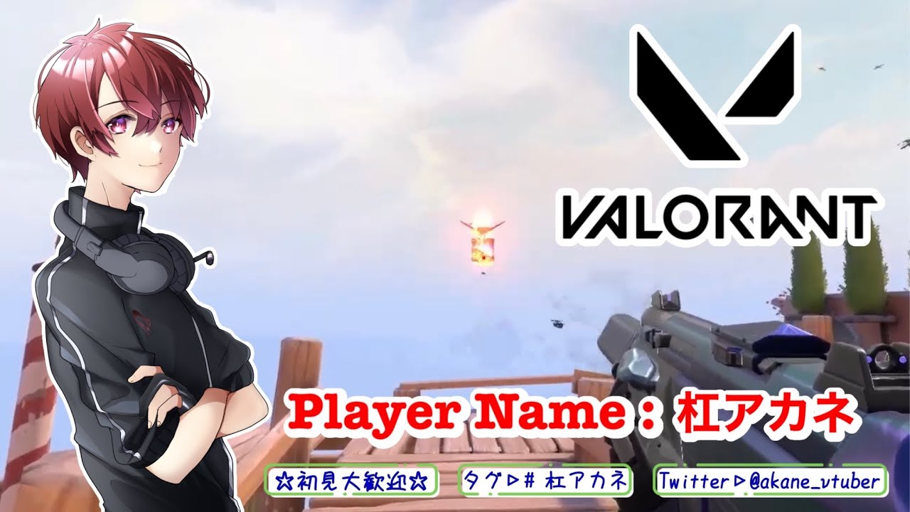 【VALORANT】スクリム相手やるのだ【初見大歓迎】