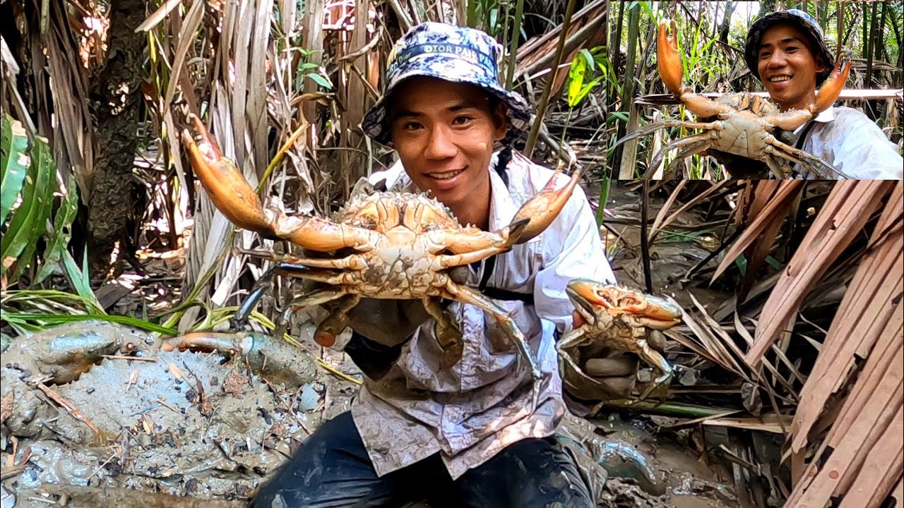 Lần theo dấu vết con quái vật phát hiện nhiều con cua khổng lồ đang ẩn mình