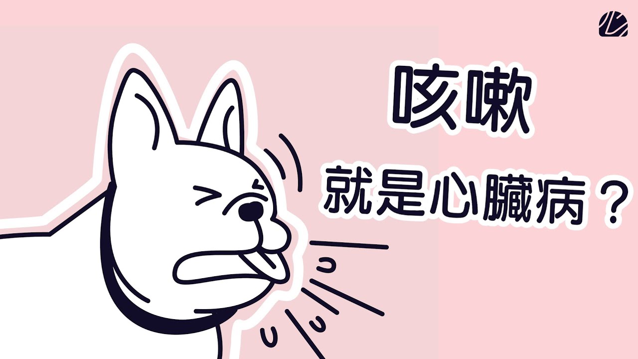 【心臟病犬貓照護指南】EP2 為什麼咳不停？心臟病毛孩最常見的咳嗽原因！