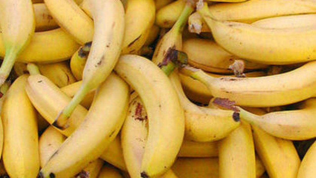 Are You Eating TOO MUCH Fiber?