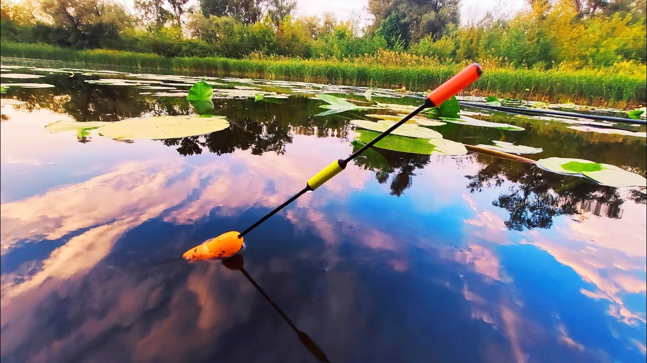 НЕ ВСТИГАЮ ЗАКИДАТИ 🎣 КРУПНИЙ КАРАСЬ 🐟 на ПОПЛАВОК.  Ловля карася