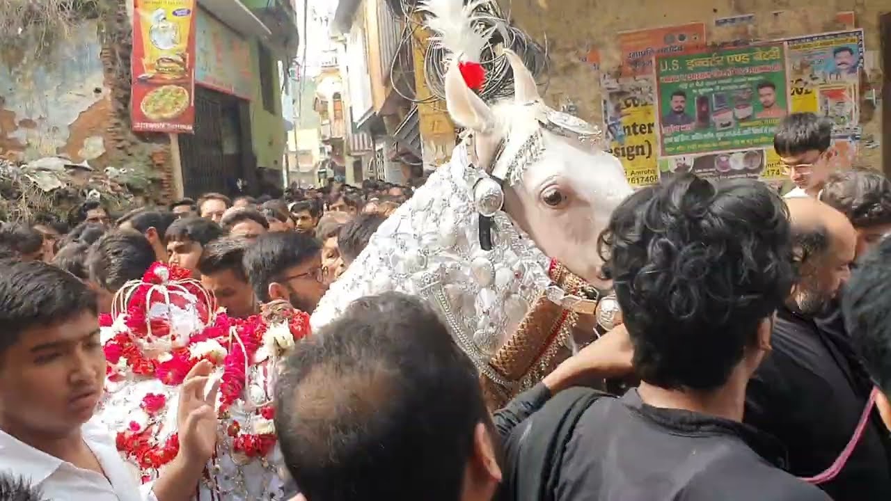 4 Moharram 2024| Uthta matam| Live🔴 Amroha Azadari