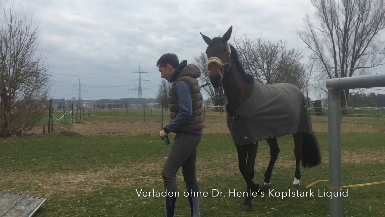 Verladetraining mit Hilfe von Dr. Henle‘s Kopfstark Liquid