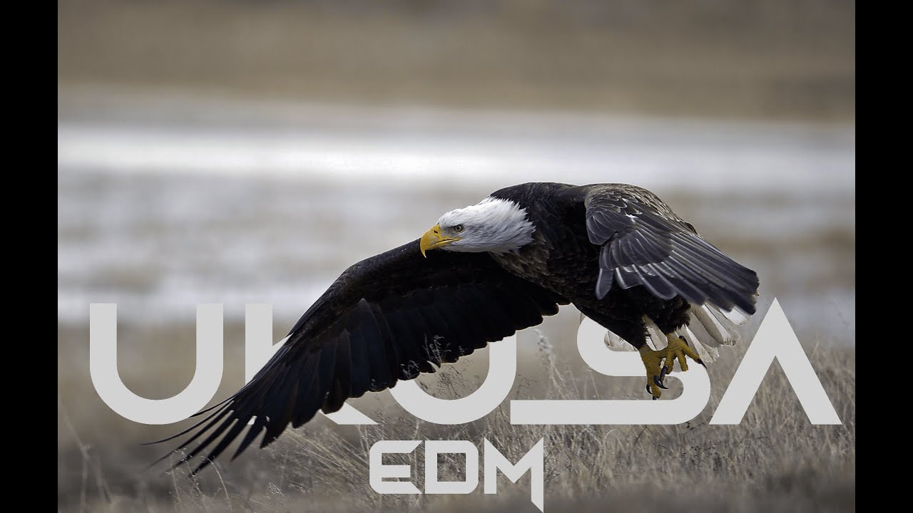 Ukusa Wannama EDM (Kyrex Beatz)